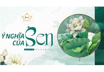 Ý nghĩa hoa Sen trong Phật giáo và trong cuộc sống người Việt